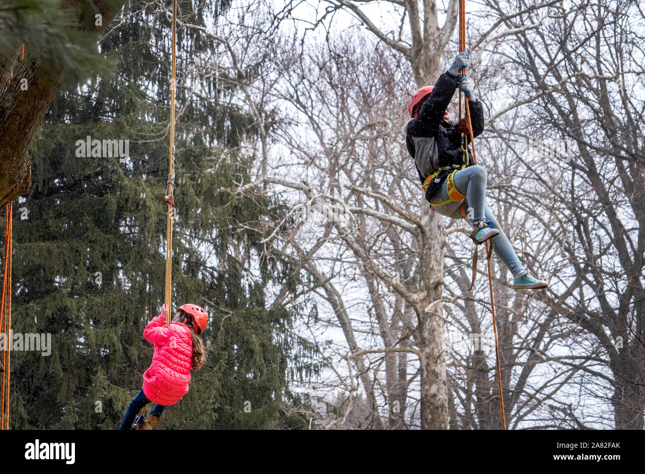 March 17, 2019 Indiana USA; kids in a tree harness learn about safety from tree workers during the Sugar camp days event at st Joseph parks Bendix woo Stock Photo