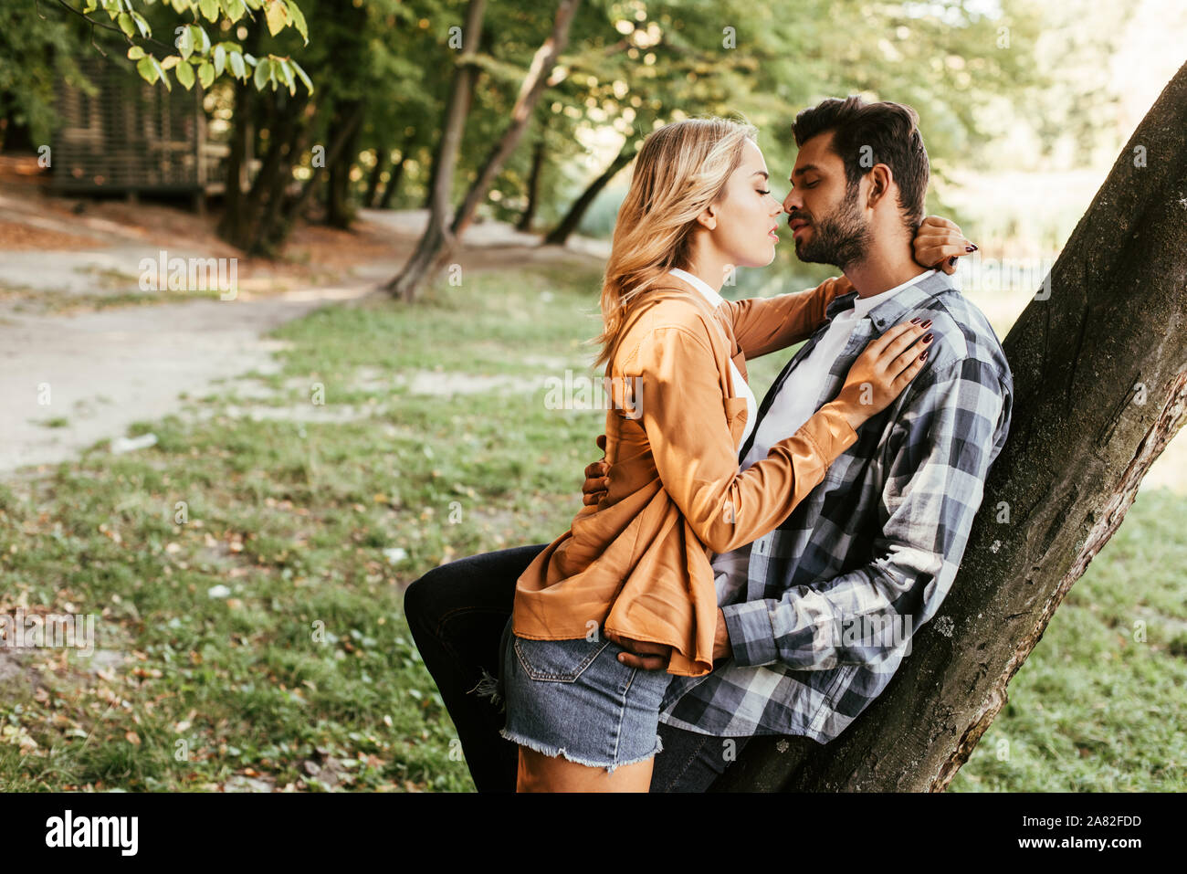 attractive young woman kissing boyfriend while standing tree trunk in ...