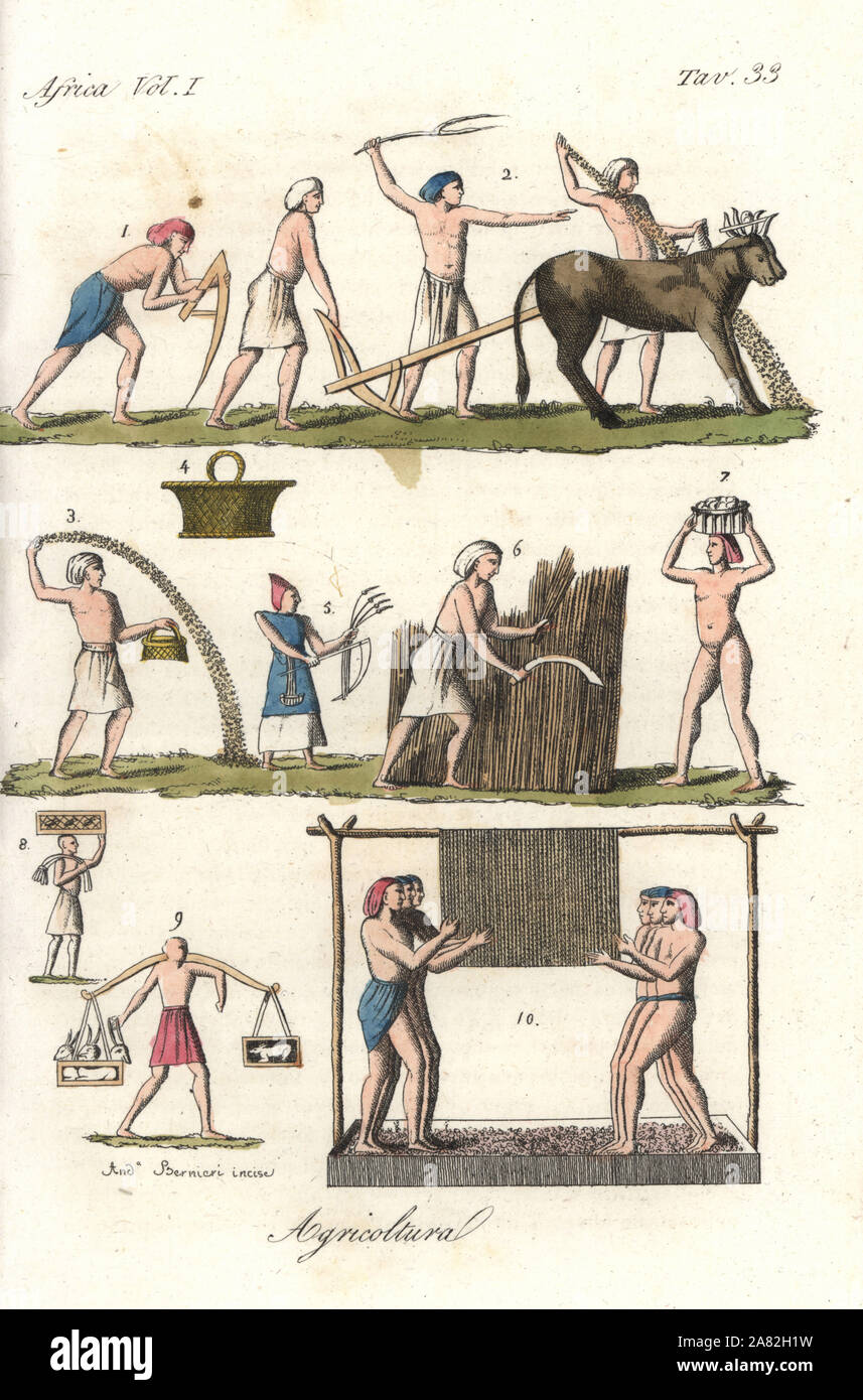 Egyptian agriculture: priest of Osiris with sceptre 1, following a man with plow behind two yoked oxen 2, man sowing seed 3 from a box 4, men harvesting wheat with a scythe 5,6, men carrying produce 7,8,9 and men pressing grapes while holding on to ropes hanging from a horizontal pole 10. Handcoloured copperplate engraving by Andrea Bernieri from Giulio Ferrrario's Costumes Antique and Modern of All Peoples (Il Costume Antico e Moderno di Tutti i Popoli), Florence, 1843. Stock Photo