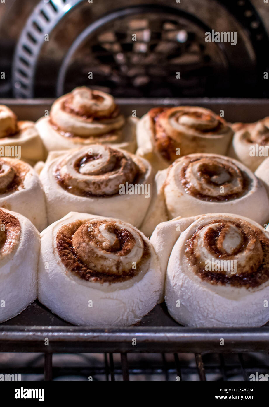 Cinnamon rolls baking in a hot oven Stock Photo Alamy