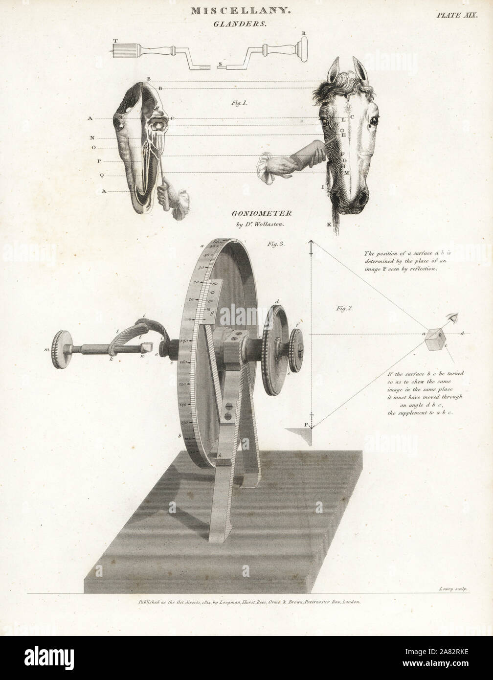 Apparatus for treating horse glanders and William Hyde Wollaston's reflective goniometer, to measure the angles of minute crystals with precision. Copperplate engraving after a drawing by J. Farey from Abraham Rees' Cyclopedia or Universal Dictionary of Arts, Sciences and Literature, Longman, Hurst, Rees, Orme and Brown, London, 1814. Stock Photo