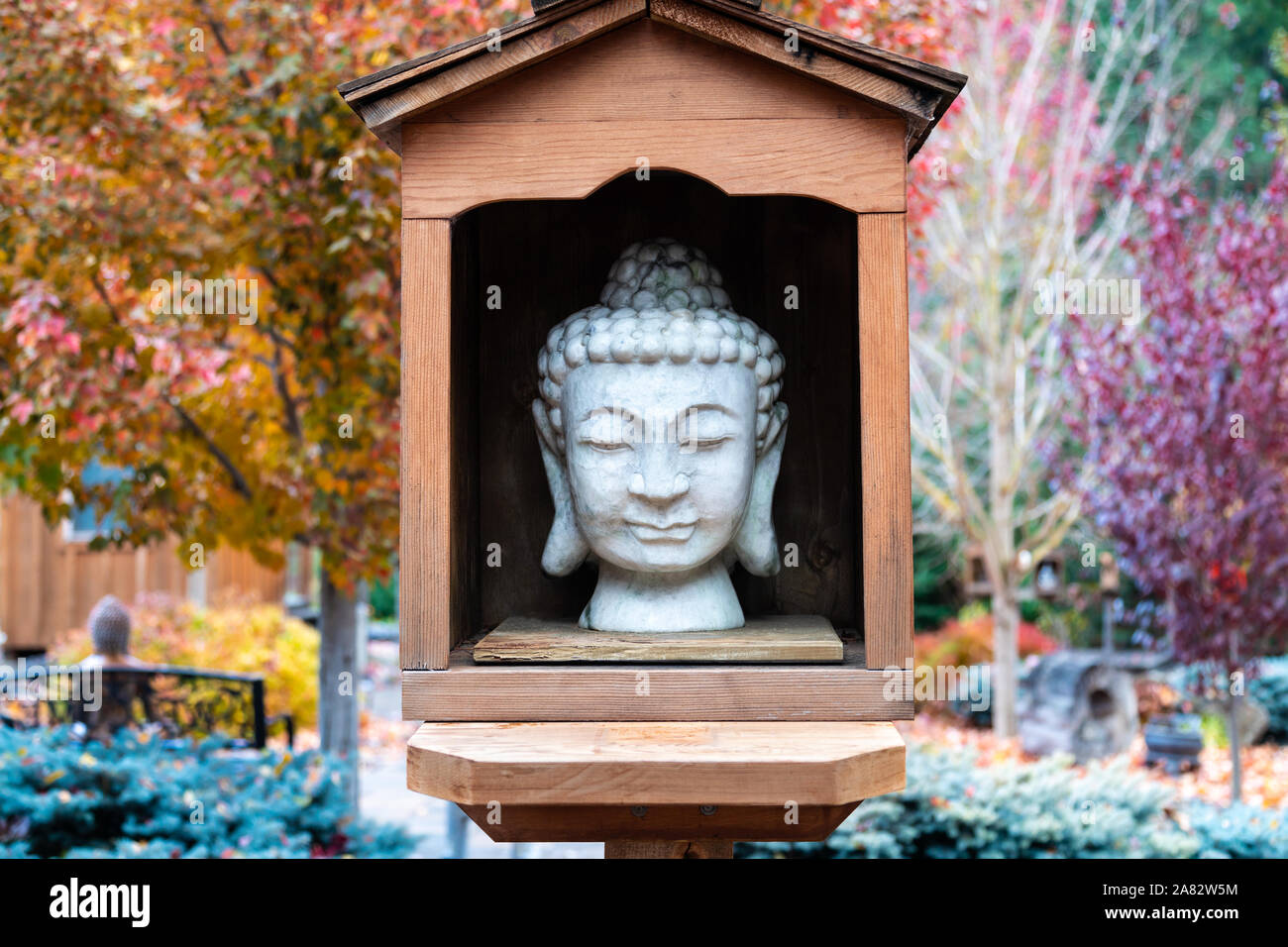 Buddha stone head in wooden display in an autumn garden with maple trees Stock Photo