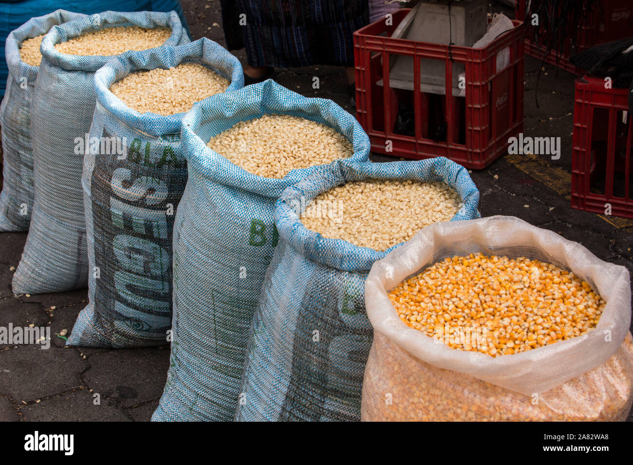 Sacks of corn or maize seeds for sale at the weekly market in Santiago
