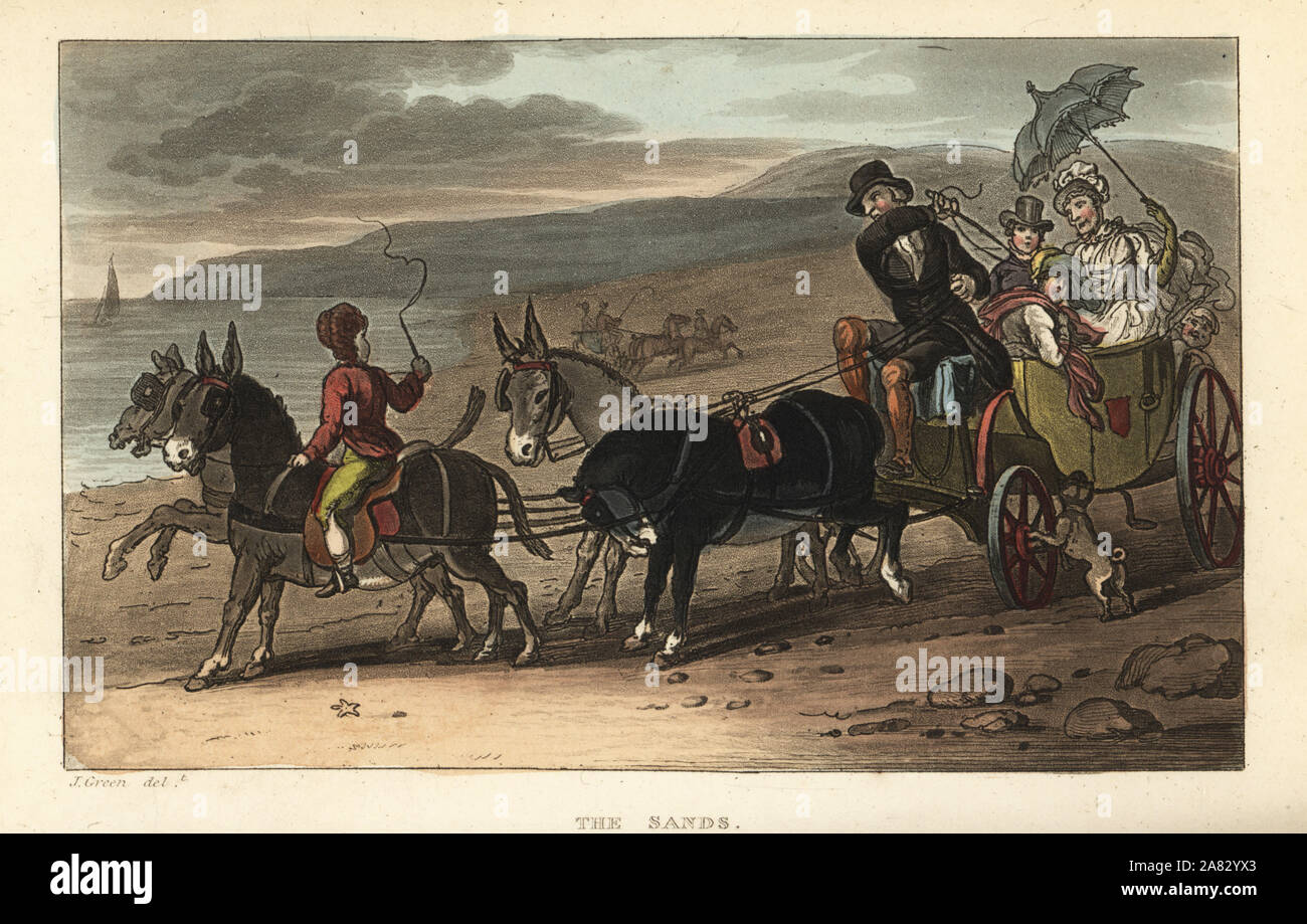 The Sands: tourists in a barouche drawn by donkeys on the beach. Handcoloured copperplate engraving by Thomas Rowlandson after a sketch by J. Green from Poetical Sketches of Scarborough, Ackermann, London, 1813. Stock Photo