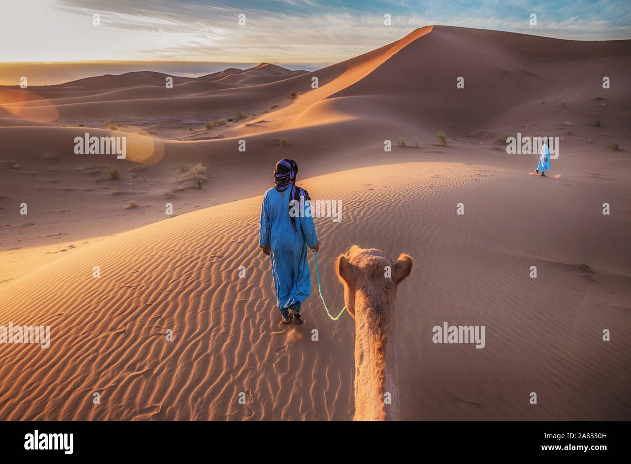 Two Tuareg nomads leading a camel in the Sahara Desert, Morocco. Stock Photo