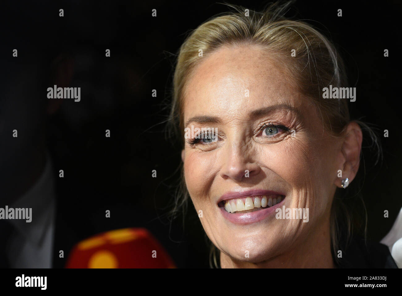 Madrid, Spain. 05th Nov, 2019. Sharon Stone attends the Harper's Bazaar Awards 2019 at Santoña palace in Madrid.The American actress, producer, and former fashion model Sharon Vonne Stone received the International Icon Harper's Bazaar Award 2019. Credit: SOPA Images Limited/Alamy Live News Stock Photo