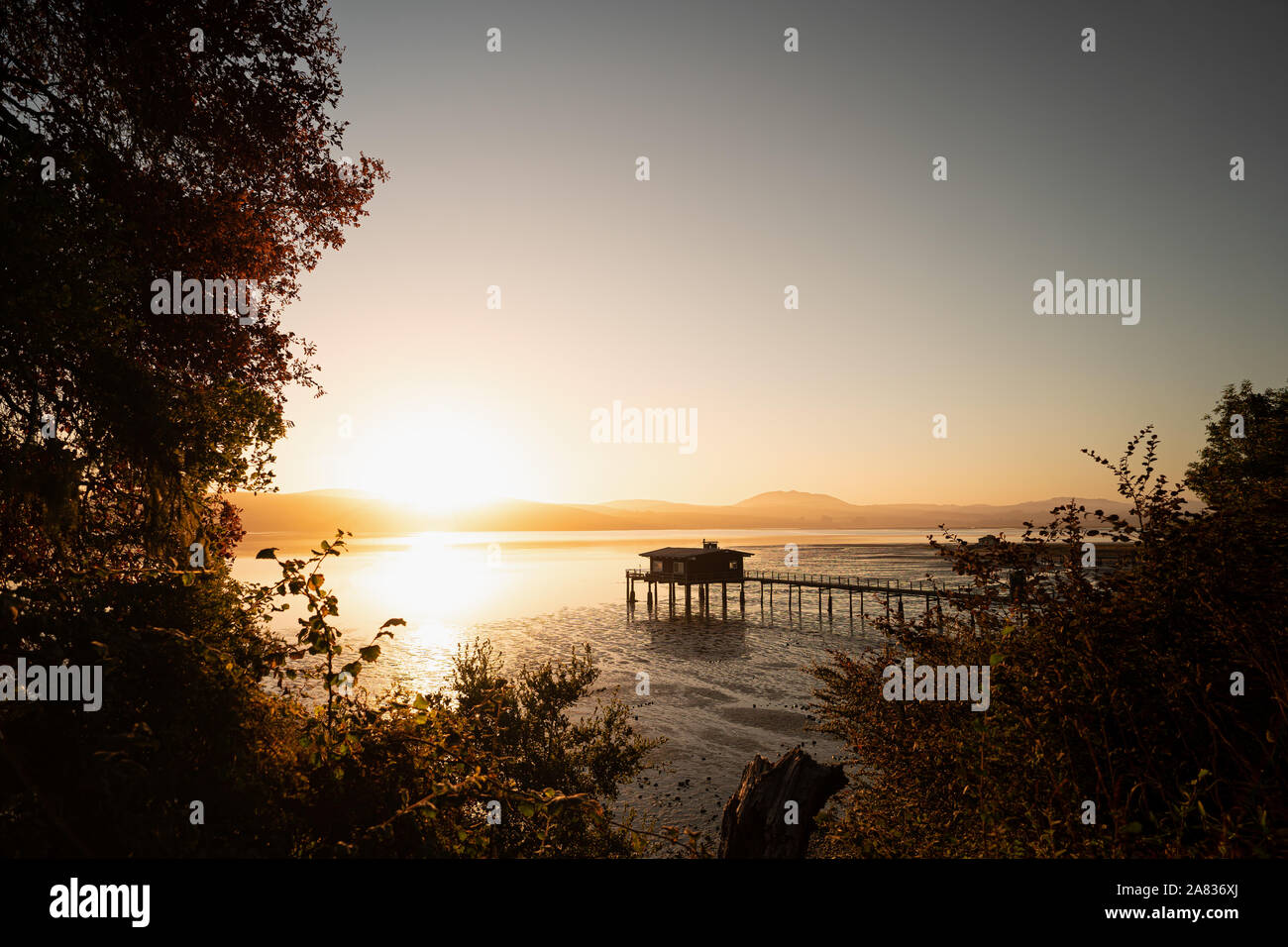 Sunrise at a Pier in Point Reyes Stock Photo
