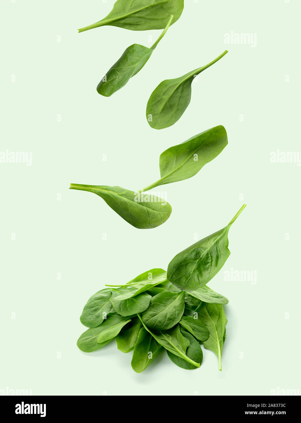 Fresh falling spinach on light background Stock Photo - Alamy