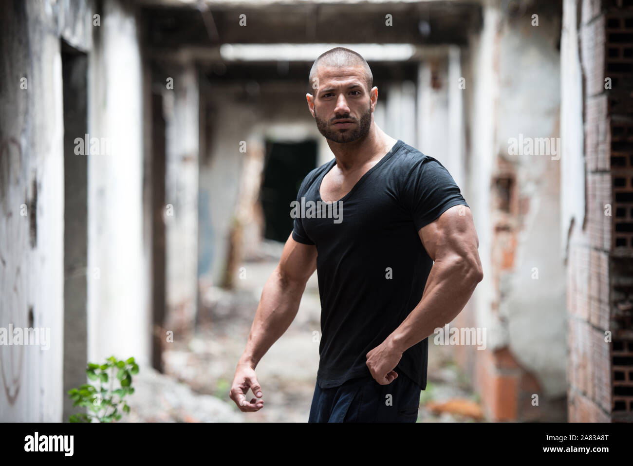 8,100+ Hot Male Fitness Models Stock Photos, Pictures & Royalty-Free Images  - iStock