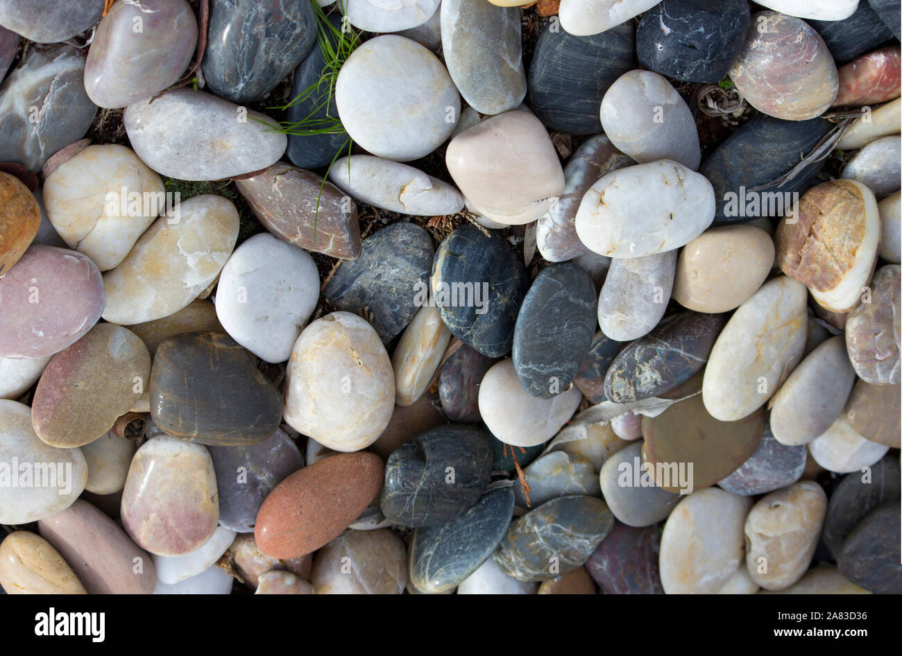 Decorative smooth grey, white, slate, brown and multi textured stones