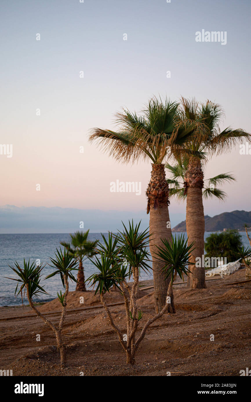 A Tropical Beach Scene in Spain Stock Photo