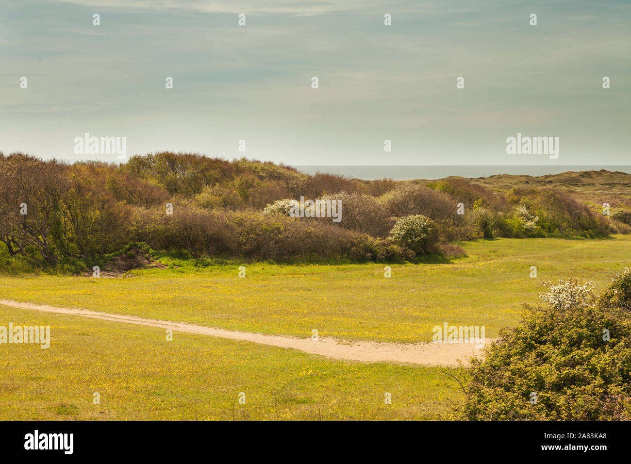 Kenfig National Nature Reserve, Ton Kenfig, Bridgend, South Wales, UK ...
