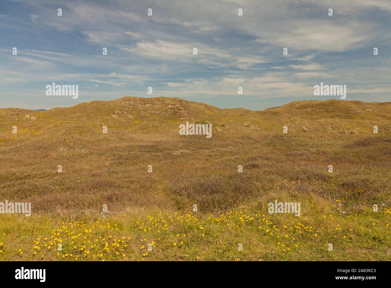 Kenfig National Nature Reserve sand dunes, Ton Kenfig, Bridgend, South ...