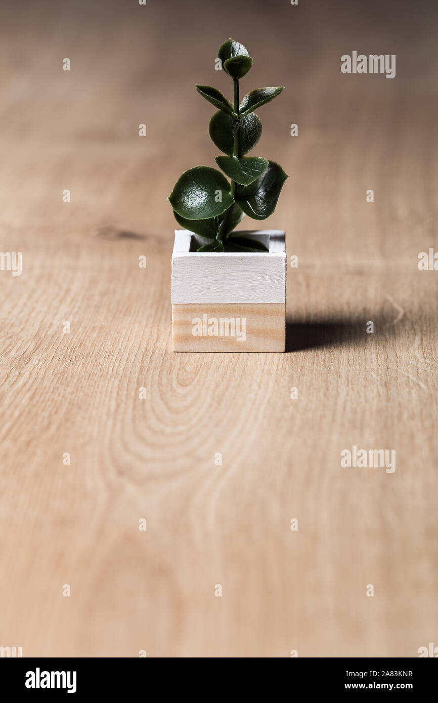 Fake green plant on a white pot close up still Stock Photo Alamy