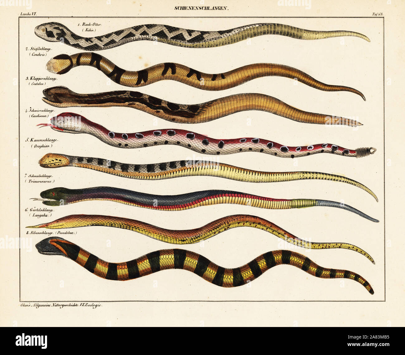 Egyptian Names Of Snakes
