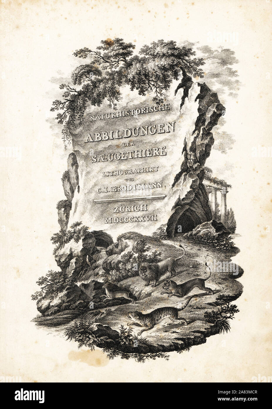Title page lithographed by Karl Joseph Brodtmann from Heinrich Rudolf Schinz's Illustrated Natural History of Animals, Zurich, 1827. Stock Photo