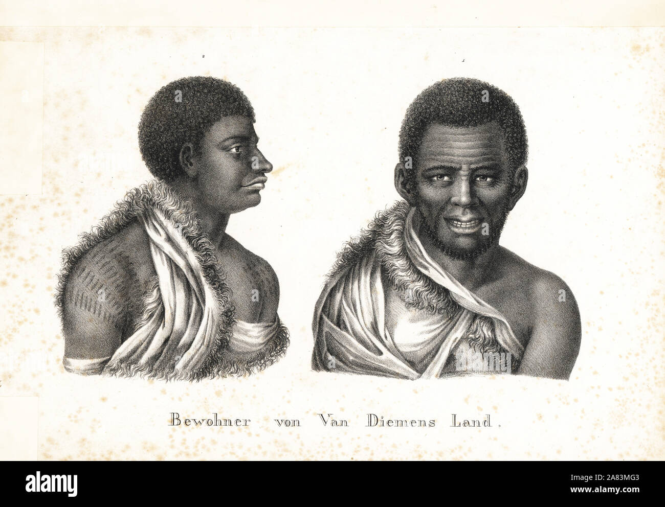 Couriaga, man with tattooed shoulder, and Paraberi, man in animal-skin cloak. The Tasmanian aborigines were exterminated by the colonists. Taken from portraits by Nicola Martin Petit. Lithograph by Karl Joseph Brodtmann from Heinrich Rudolf Schinz's Illustrated Natural History of Men and Animals, 1836. Stock Photo