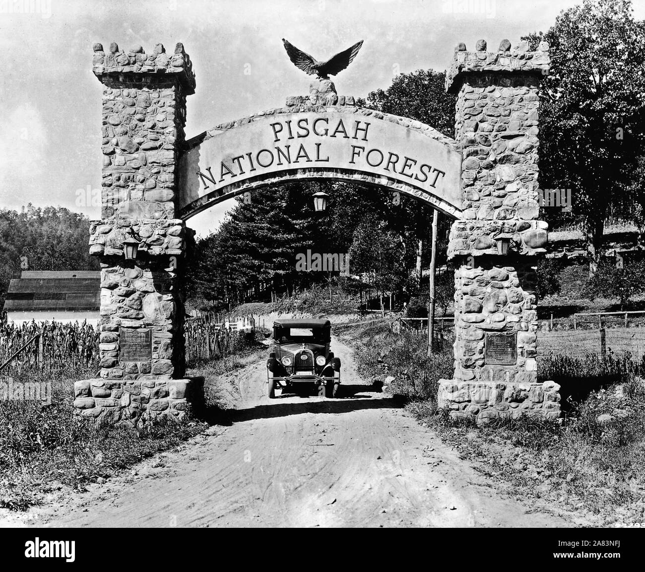 This historical image shows the entrance arch into Pisgah National
