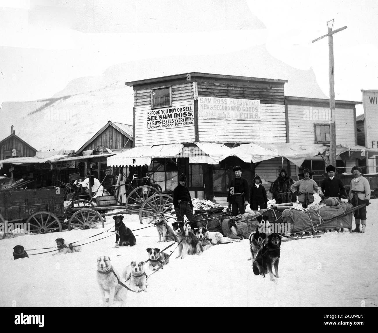 Dog Team Ready To Start With Provisions 1900 1927 Stock Photo Alamy
