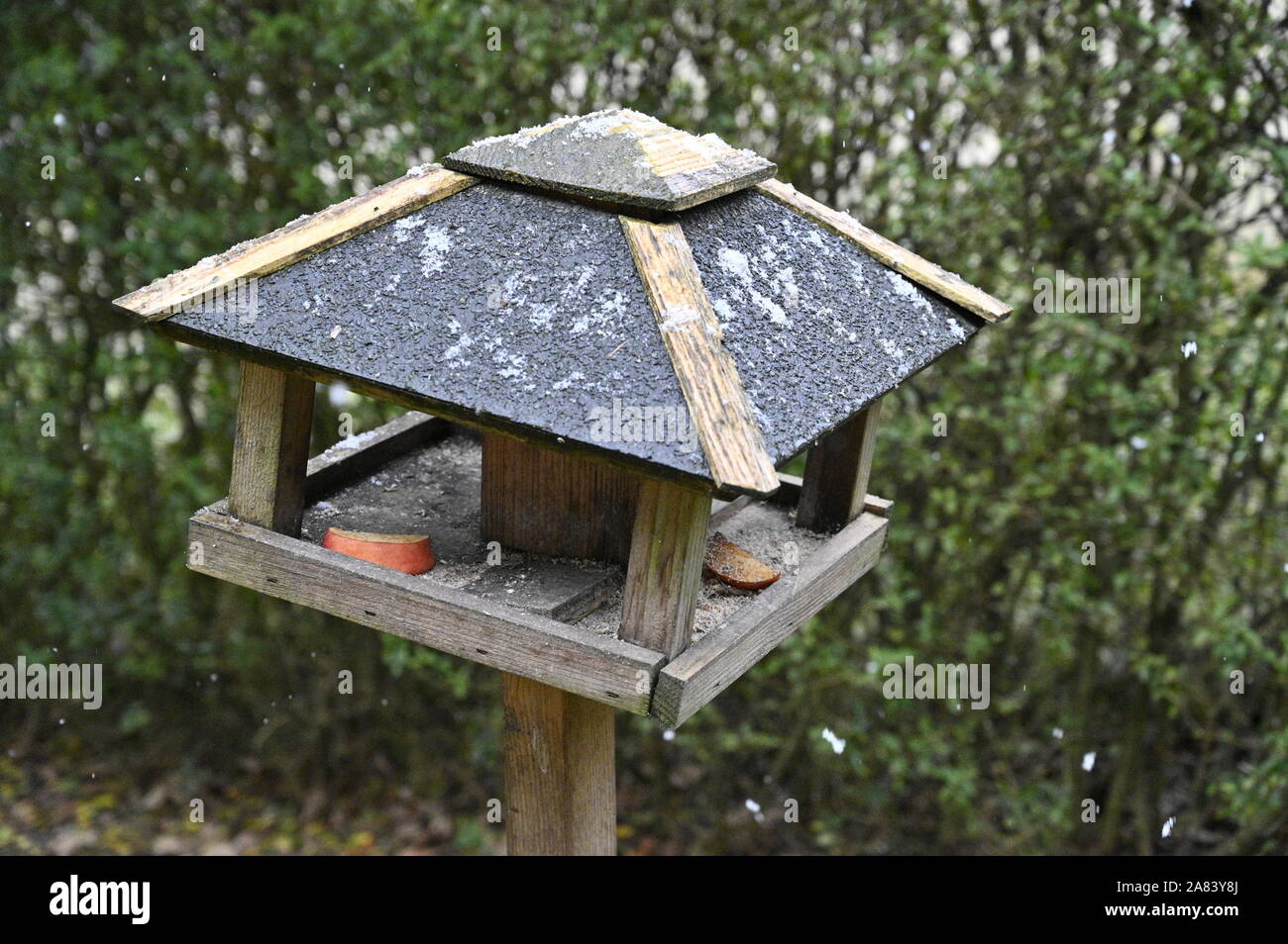 Viborg, Denmark, 6th Nov 2019: The very first snowflakes this winter are falling. With temperatures just around the freezing point, the snowflakes are big, heavy and wet. Right now is a good time to start feeding the birds. Credit: Brian Bjeldbak/Alamy Live News Stock Photo