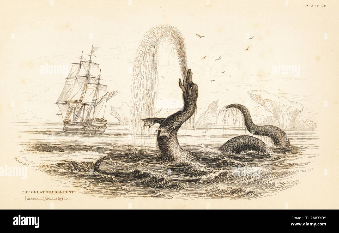 Great sea serpent seen off the coast of Greenland in 1734, Scoliophis atlanticus. From a description by Hans Egede. Steel engraving by W.H. Lizars after an illustration by James Stewart from Robert Hamilton's Amphibious Carnivora, part of Sir William Jardine's Naturalist's Library: Mammalia, Edinburgh, 1839. Stock Photo