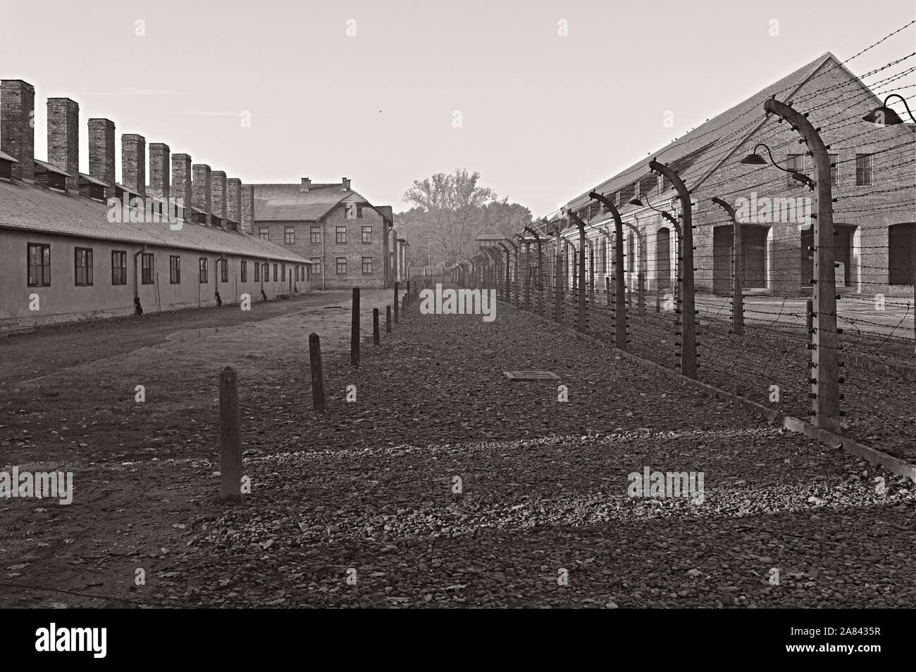 Auschwitz memorial museum, black and white photography Stock Photo