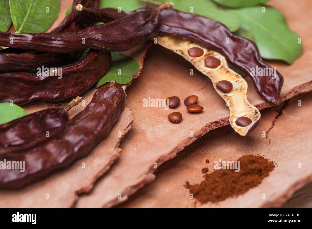 Carob. Organic carob pods with seeds and leaves on tree bark table