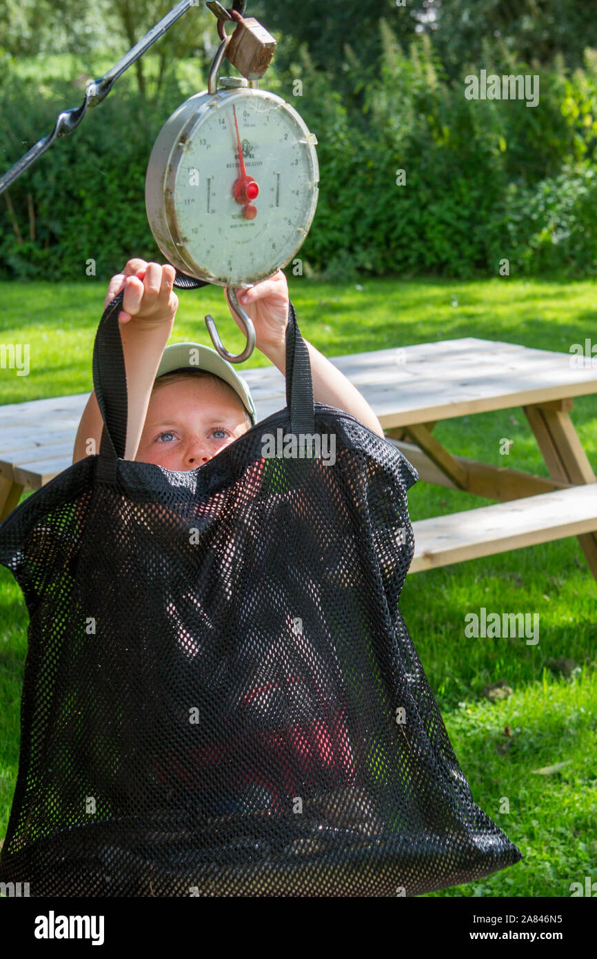 A young boy weighs his catch of fish by hanging a bag on the scales at a fishery. Stock Photo