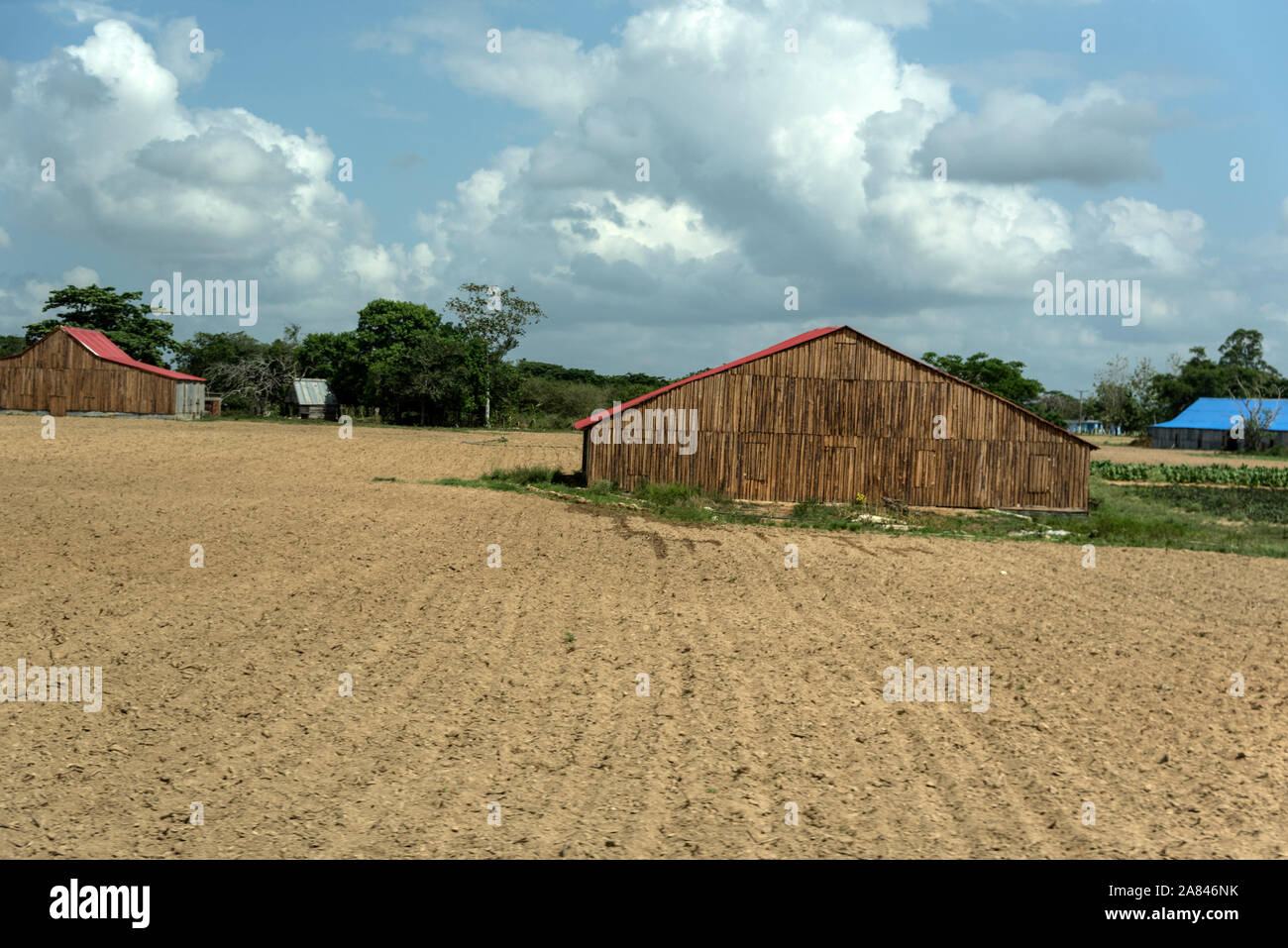 A tobacco leaf drying shed on a tobacco producing farm in the Valle de Vinales, a UNESCO world cultural landscape in Pinar del Río Province, west Cuba Stock Photo