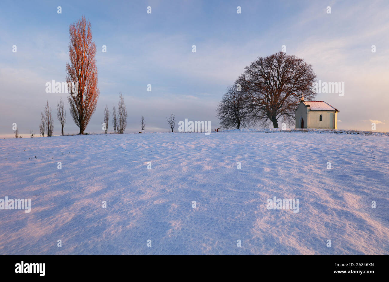 Beautiful winter landscape tree hi-res stock photography and images - Alamy