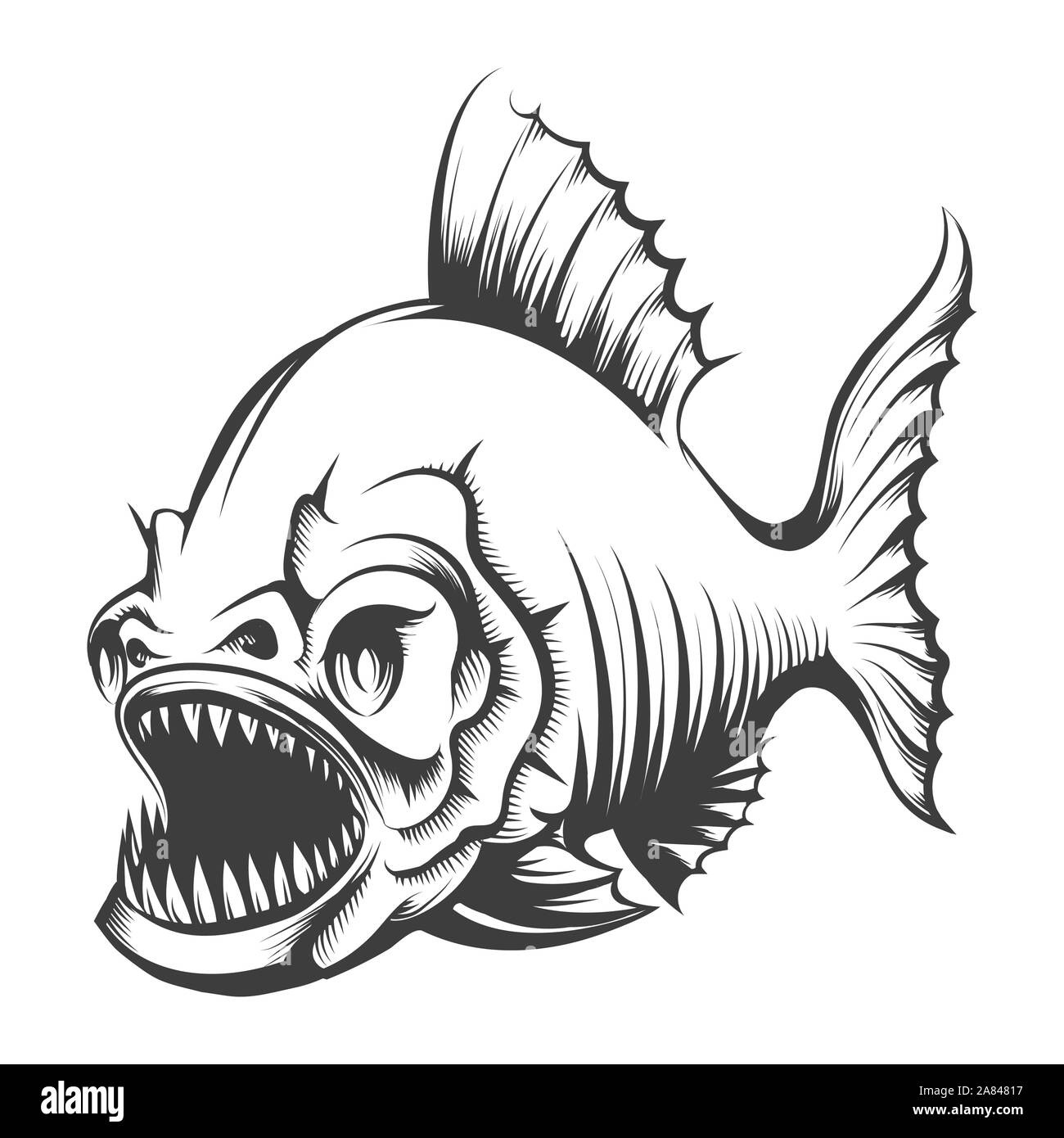 Piranha Fish in Engraving style isolated on white. Vector illustration. Stock Vector