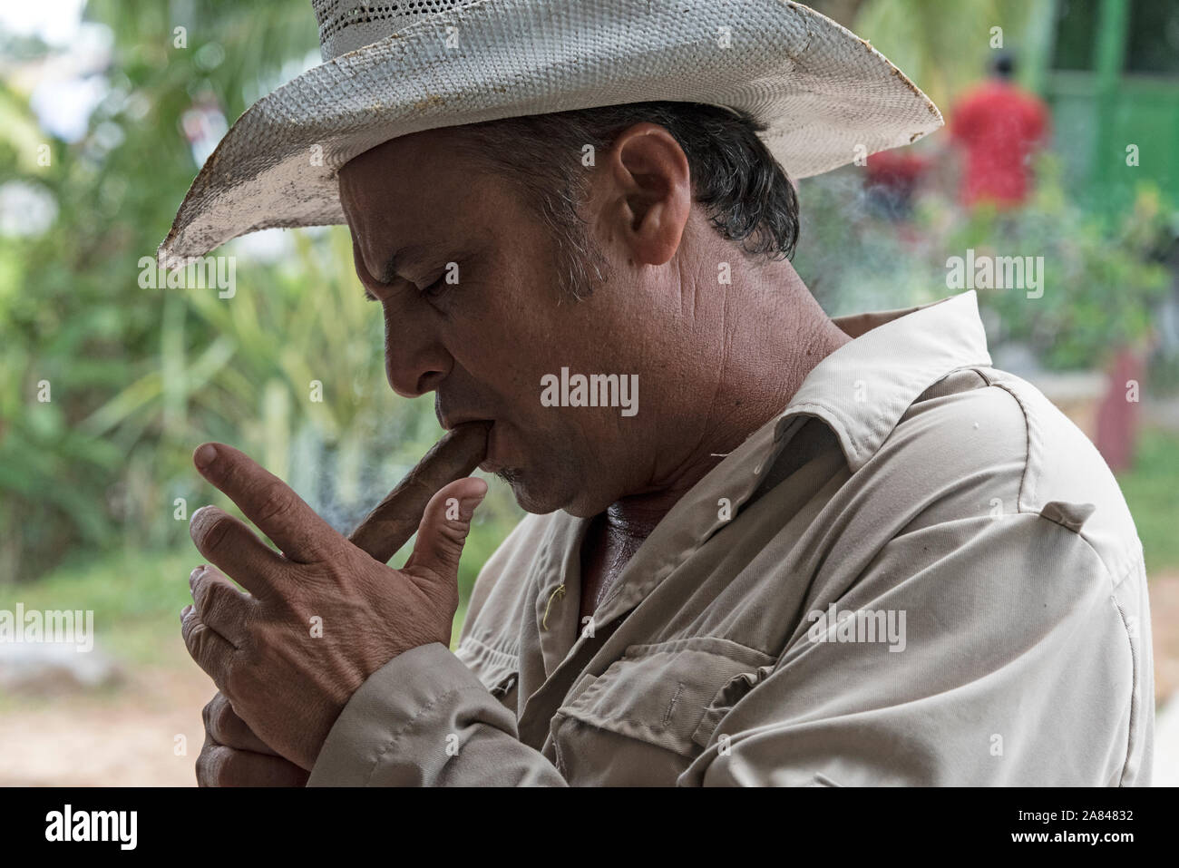 A Cuban farmer wearing a traditional Cuban hat, lights his hand rolled cigar  using a lighter, in the Valle de Vinales, Pinar del Río Province, a UNES  Stock Photo - Alamy