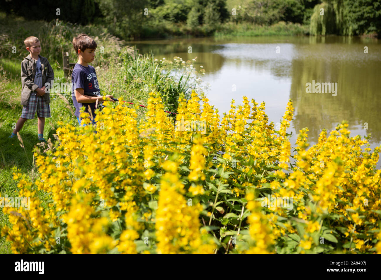 Two boys fishing hi-res stock photography and images - Alamy