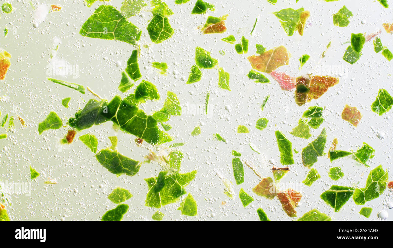 Green particles, venation pattern, like islets of life. Abstract background Stock Photo