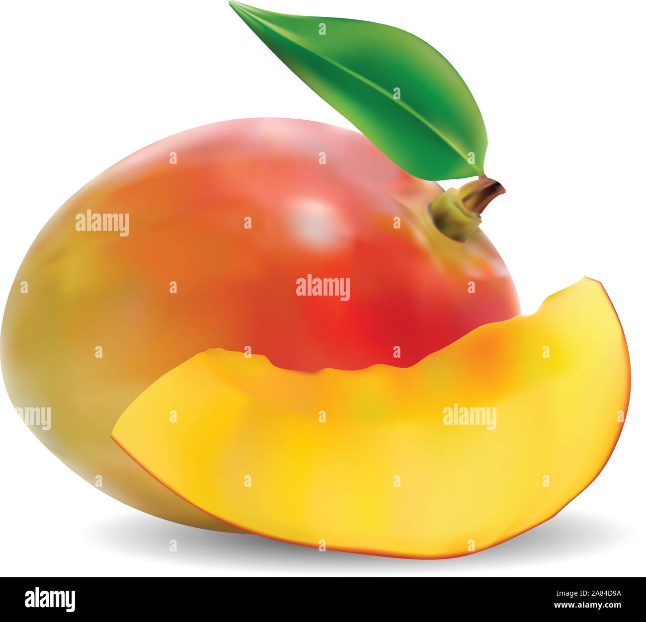 fresh mango fruit with cut and green leafs vector Stock Vector Image ...