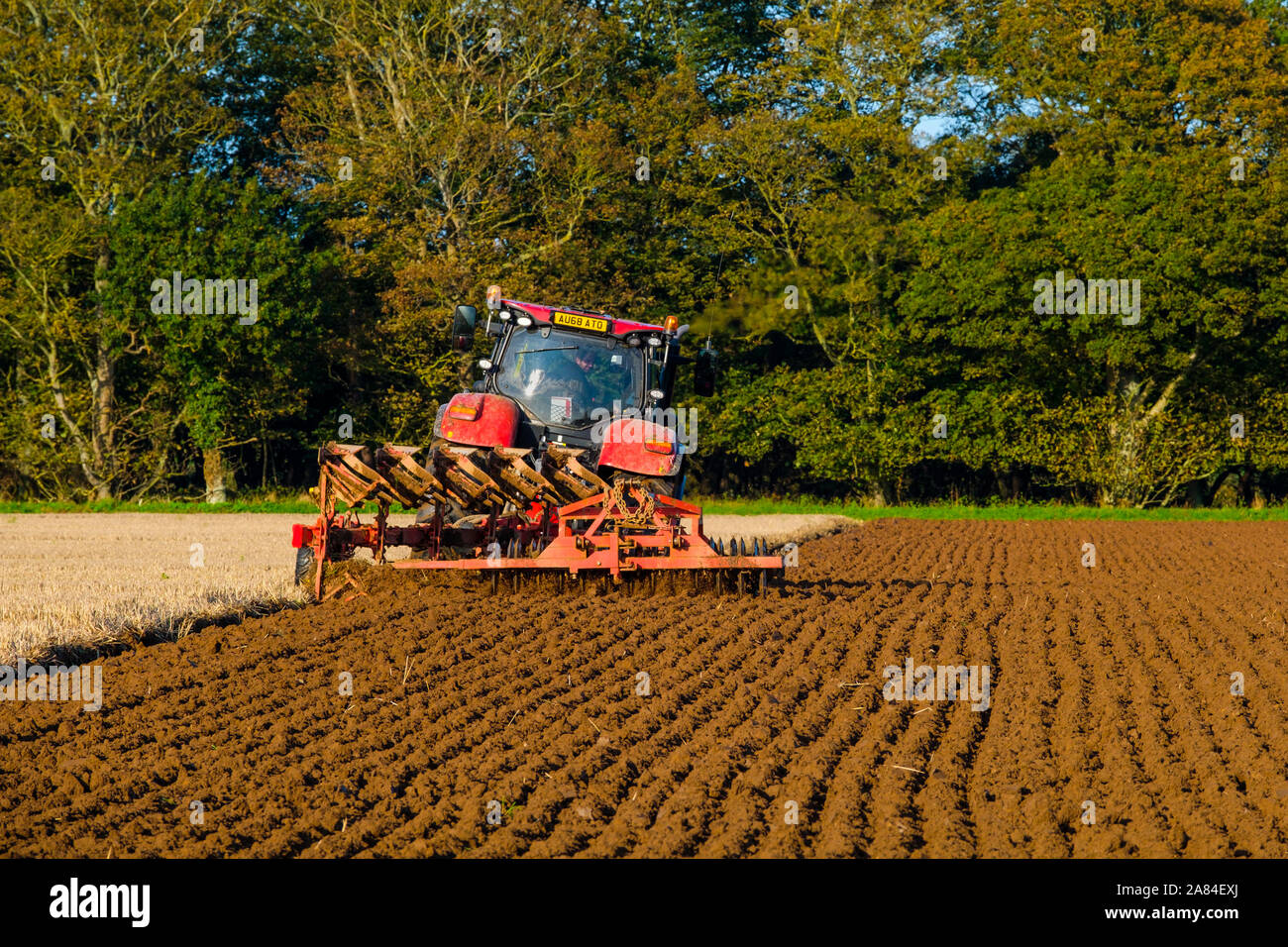 A tractor pulls a plough and press cultivator across a field in autumn ready for seeding. Stock Photo