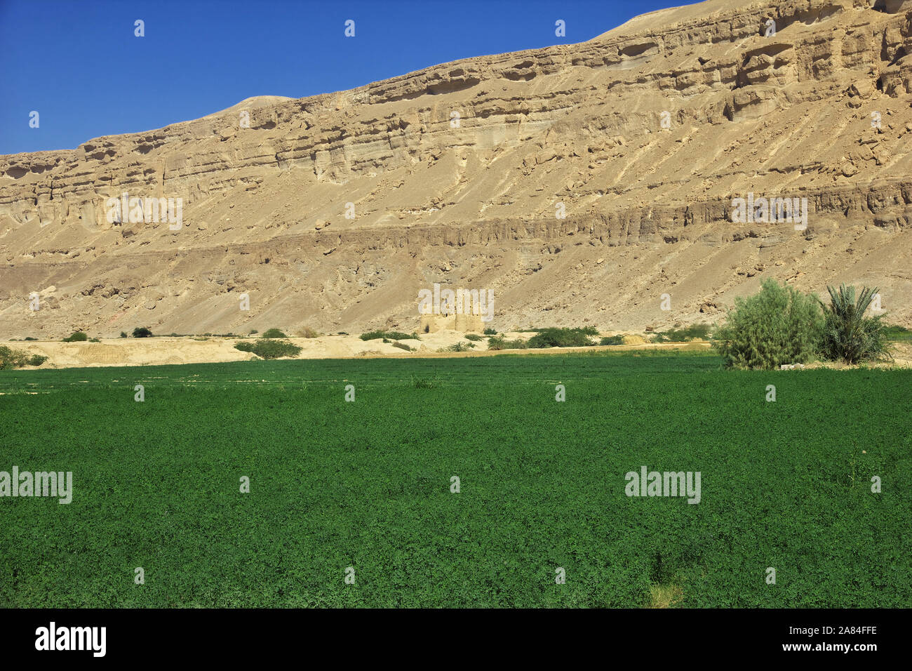The fortress in mountains in Wadi Hadhramaut, Yemen Stock Photo