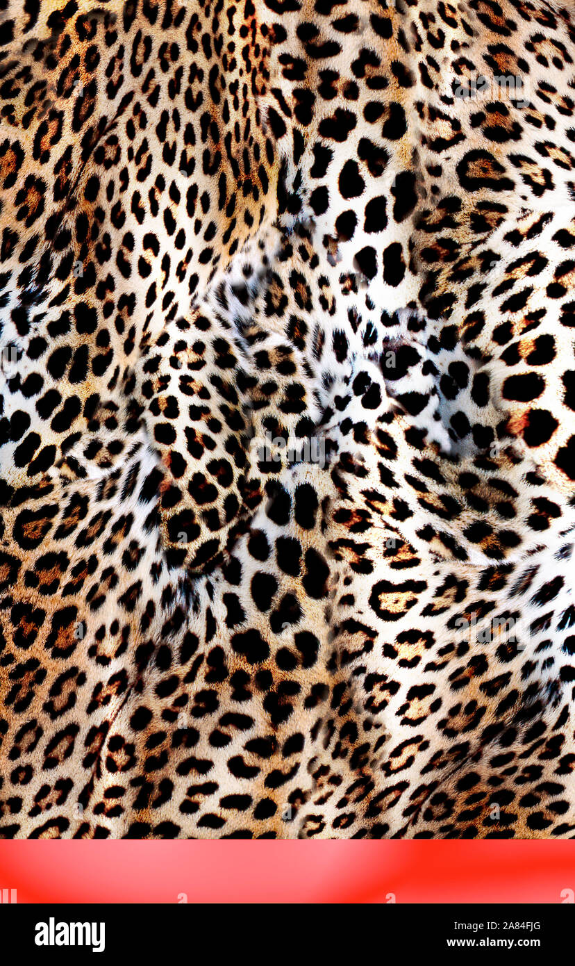 Leopard Pattern. Leopard Print. Leopard Texture. Leopard background. Animal  Skin For Textile Print,  And Ethnic Animal Texture Art  Stock Photo - Alamy