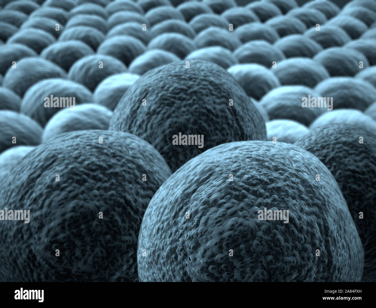 image of cancer cells, 3d rendered cancer cell, Clusters of infected cells Stock Photo