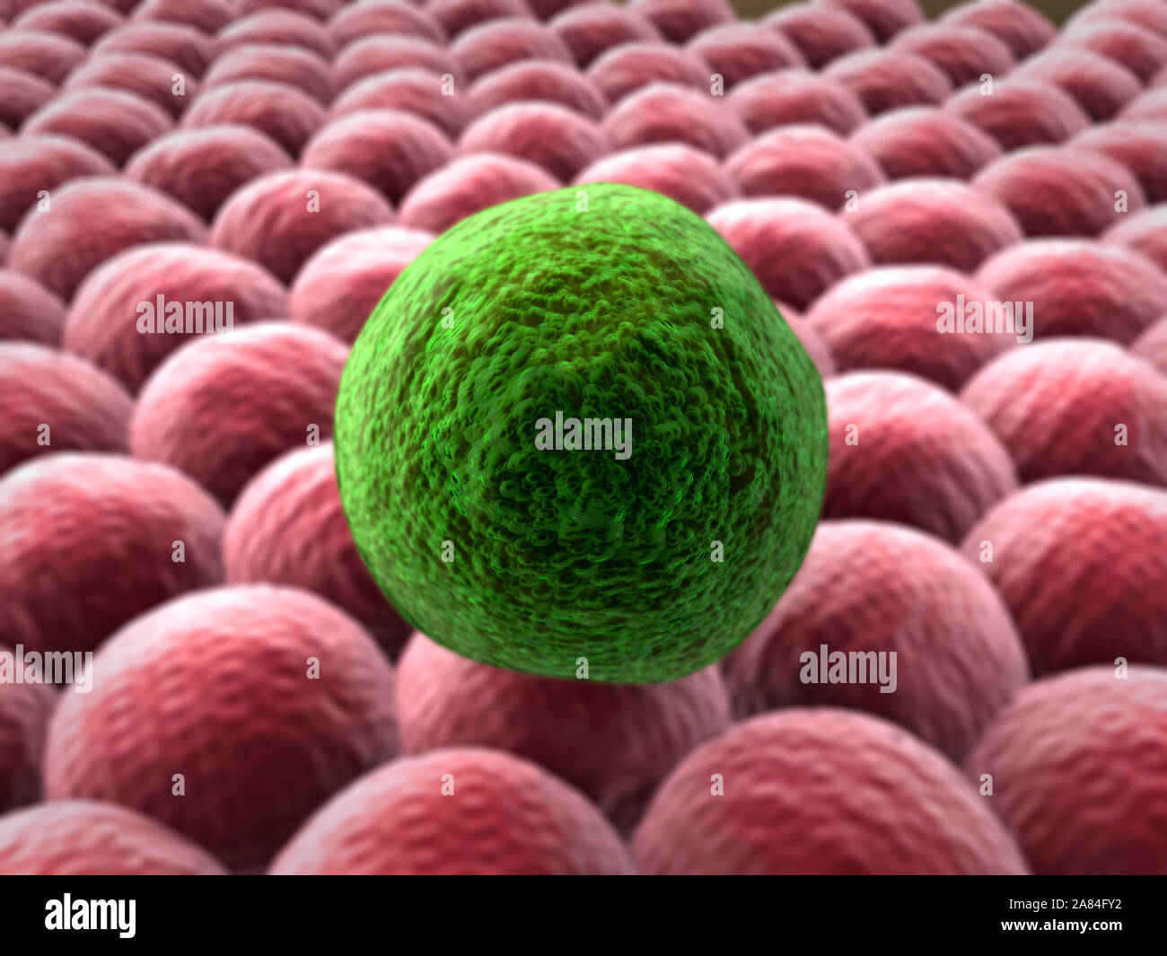 image of cancer cells, 3d rendered cancer cell, Clusters of infected cells Stock Photo
