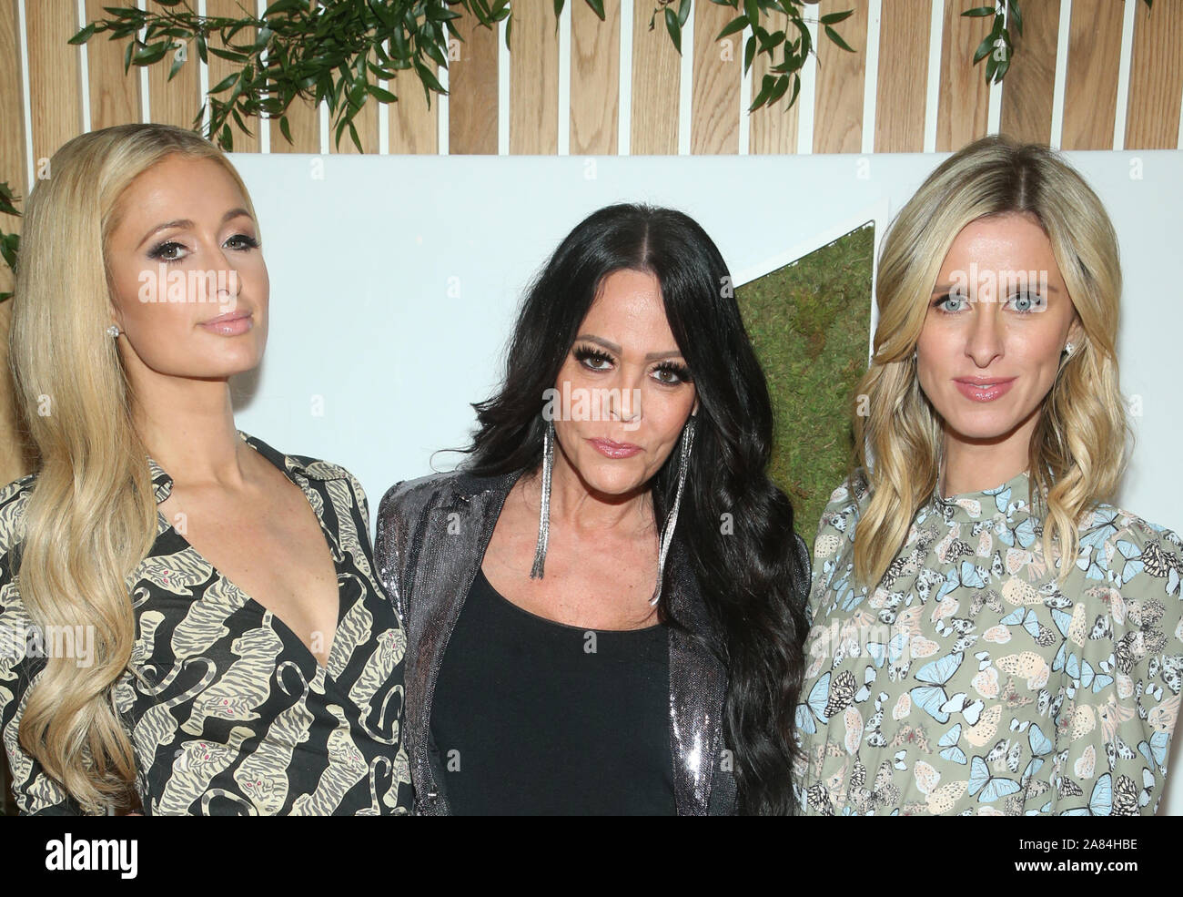 WEST HOLLYWOOD, CA - NOVEMBER 5: Paris Hilton, Allison Melnick, Nicky