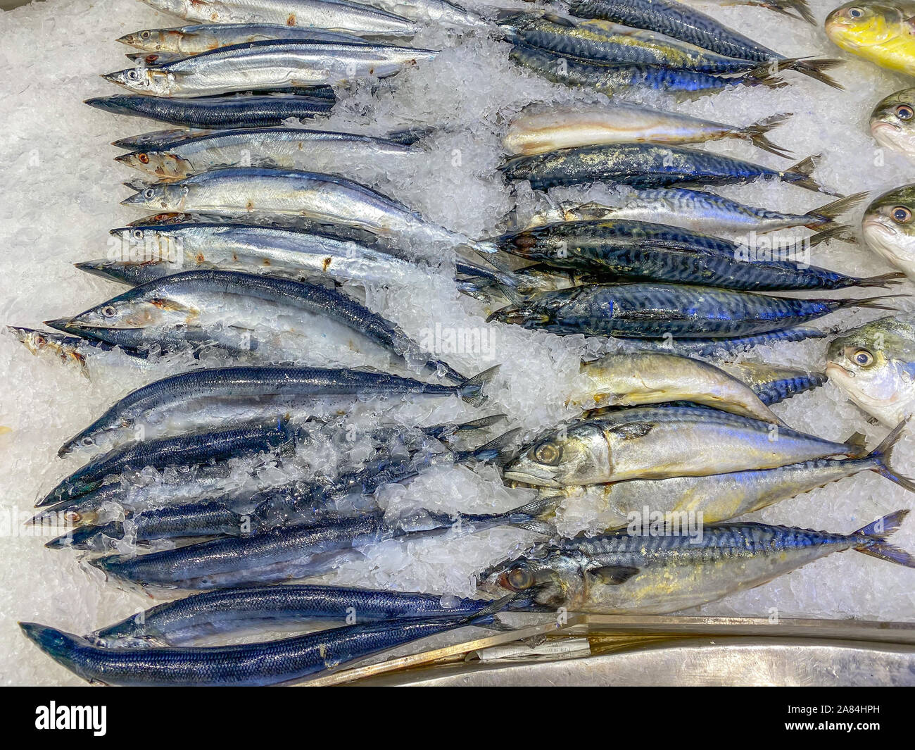 Mackerel fish piled on frozen ice for sale Stock Photo Alamy