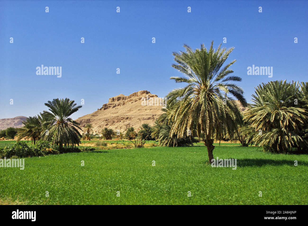 The landscape in mountains in Wadi Hadhramaut, Yemen Stock Photo