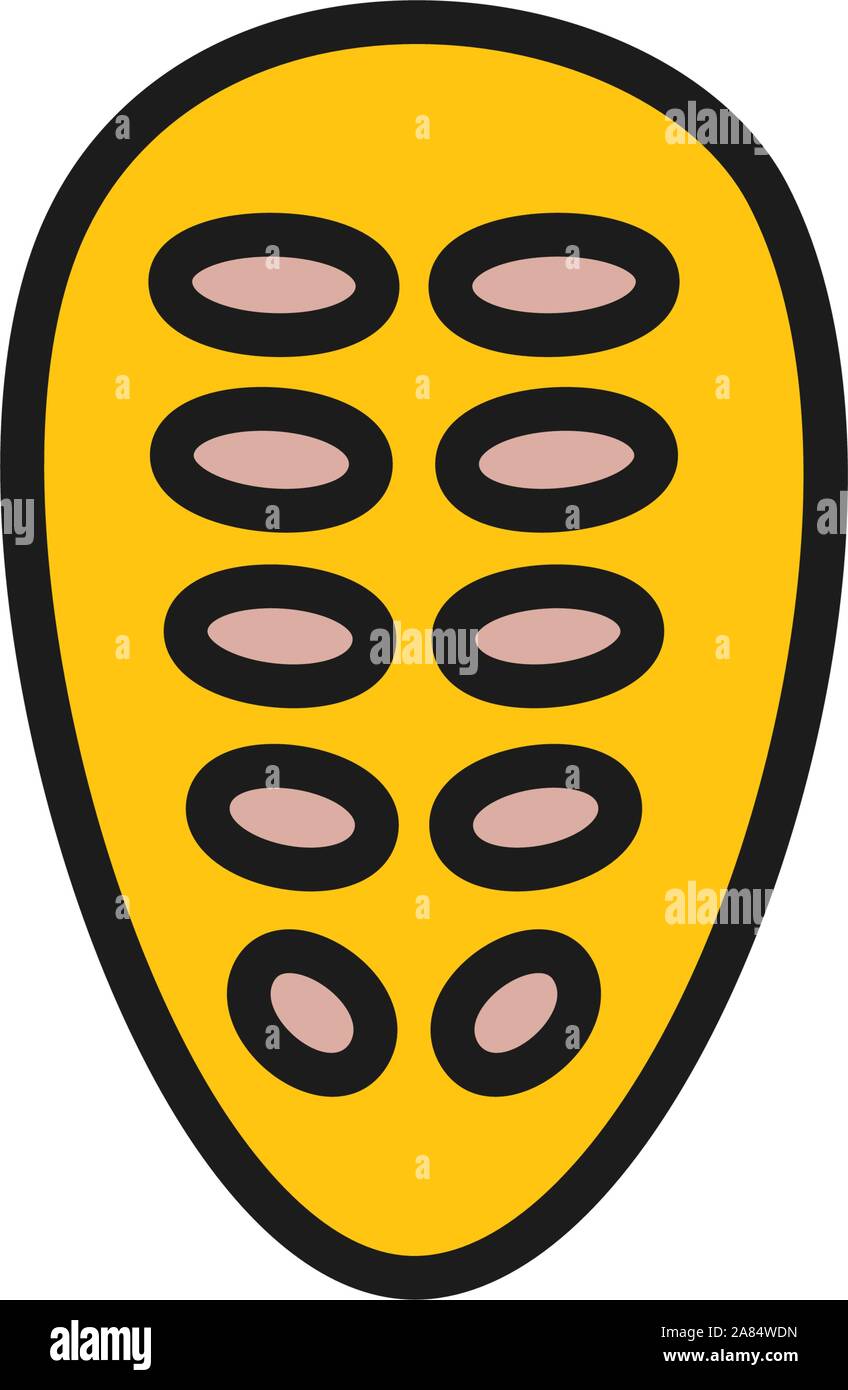 Cocoa beans flat color icon. Isolated on white background Stock Vector