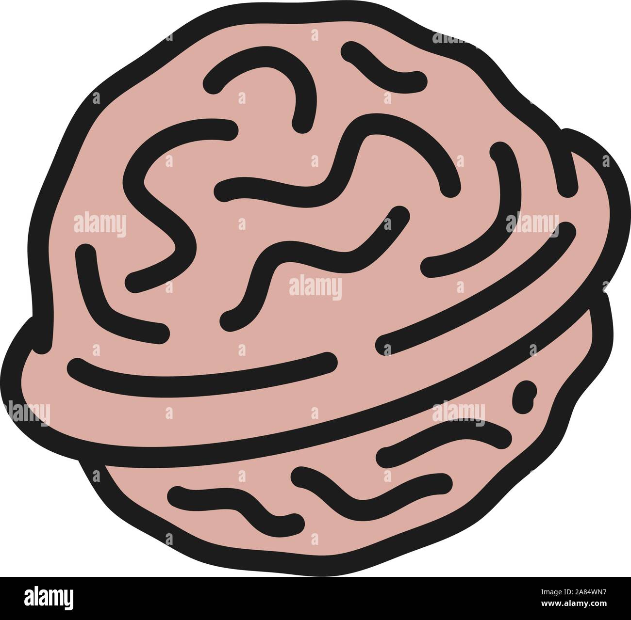 Vector walnut flat color icon. Isolated on white background Stock Vector