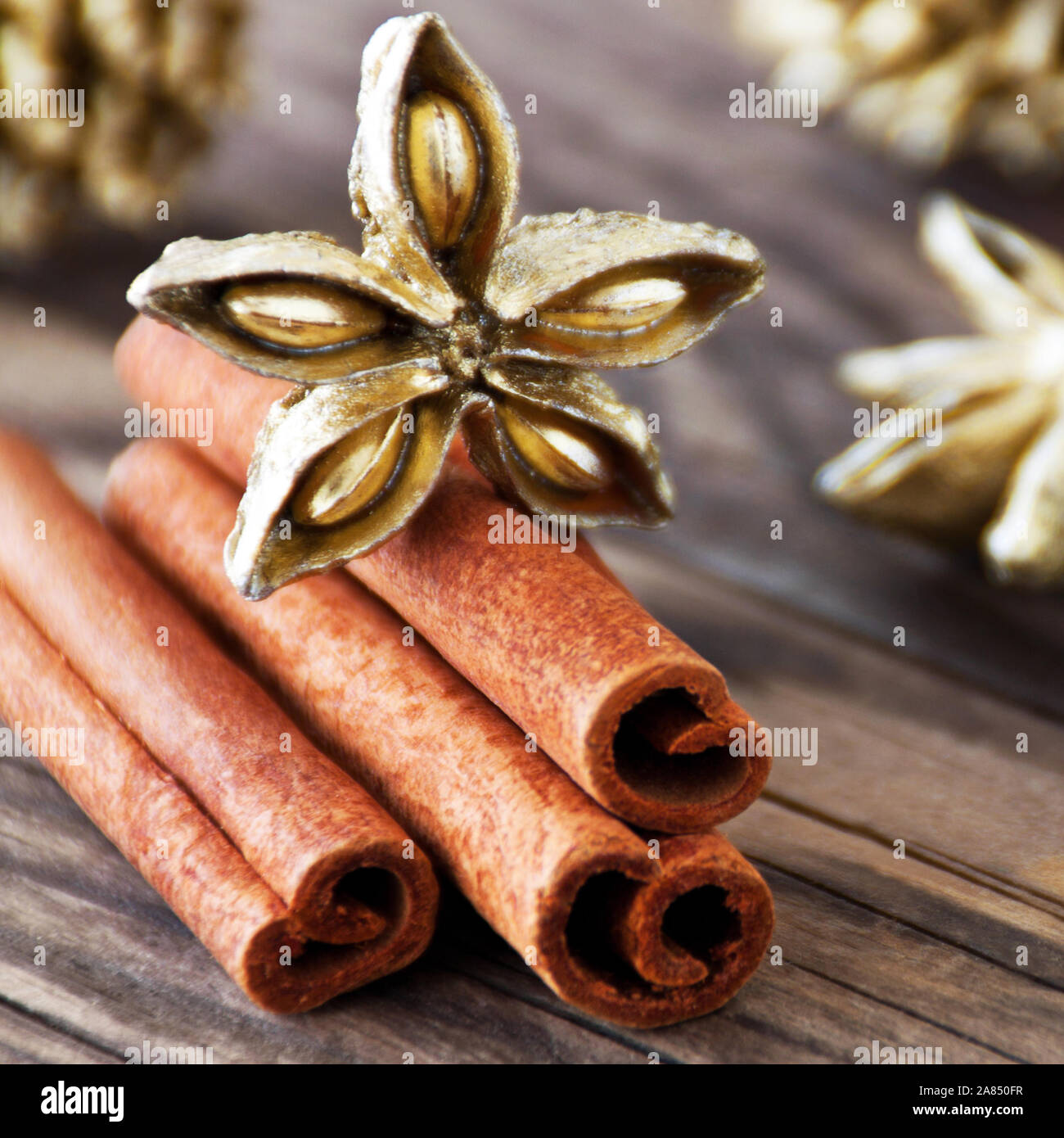 Christmas decoration with cinnamon and golden aniseed close up Stock Photo