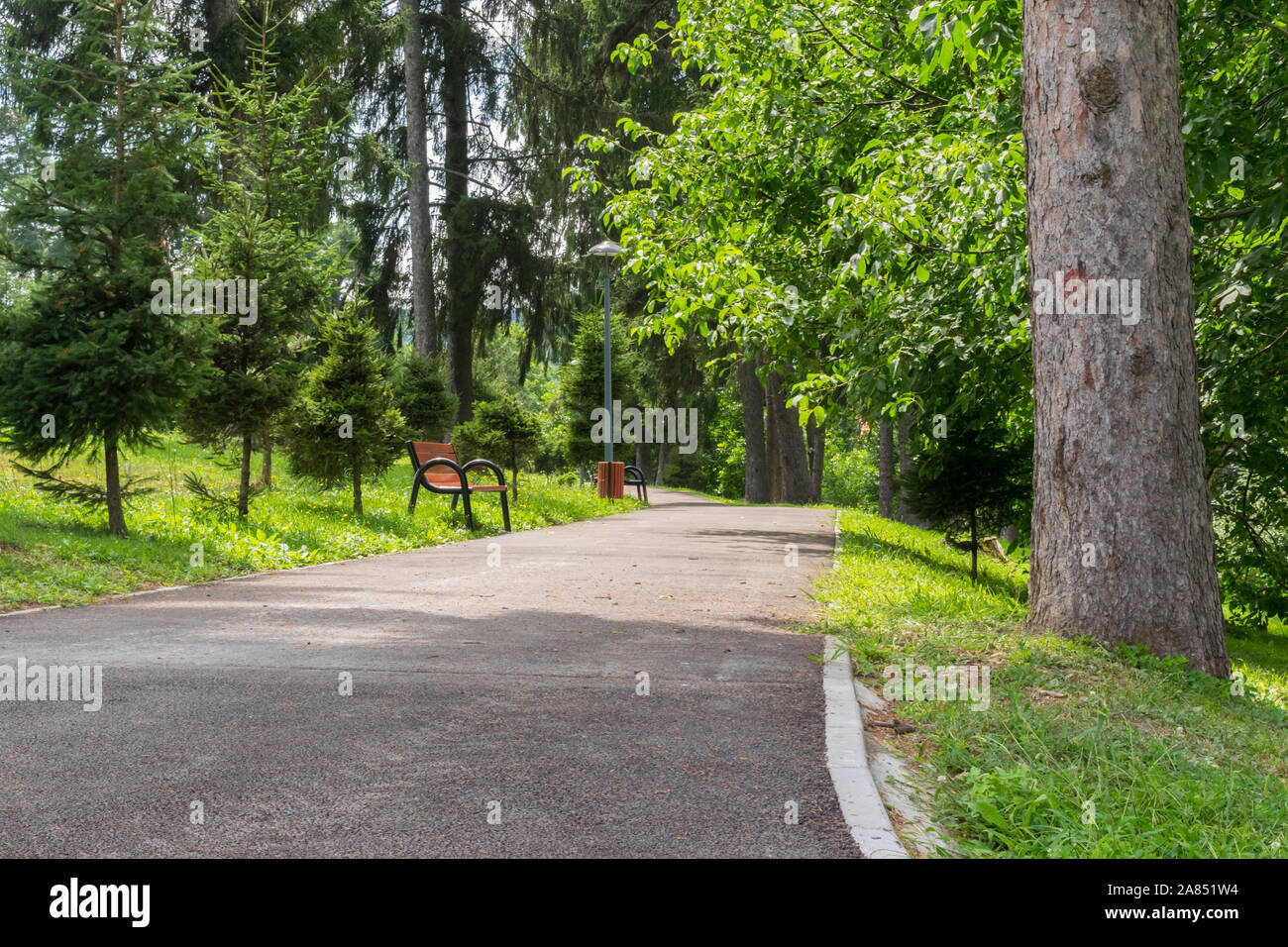 Nature walk with park benches hi-res stock photography and images - Alamy
