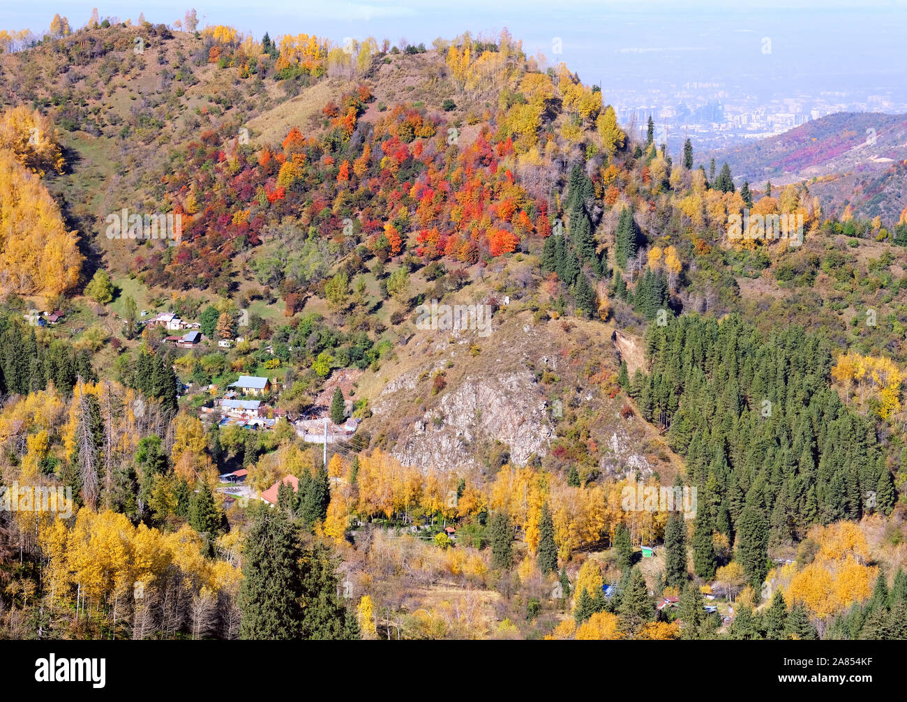 Forest outskirts of the city hi-res stock photography and images - Alamy