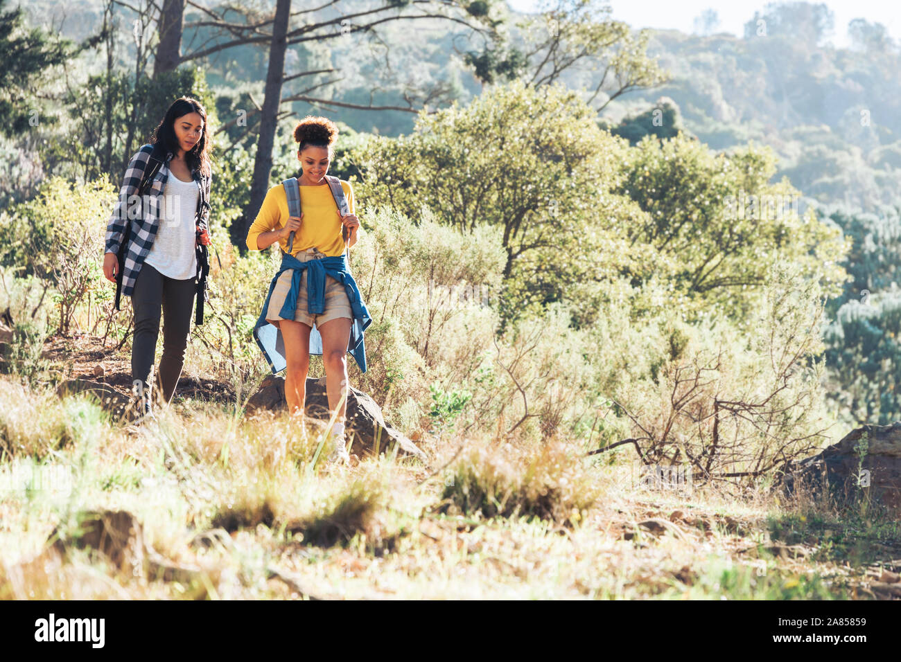 Hiking in the woods hi-res stock photography and images - Alamy