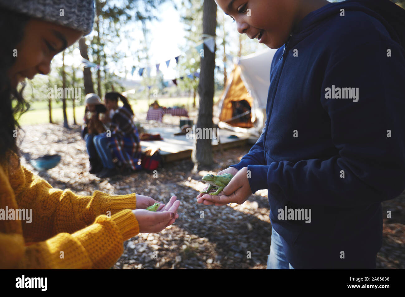 Brother and sister holding tree frogs at campsite in woods Stock Photo
